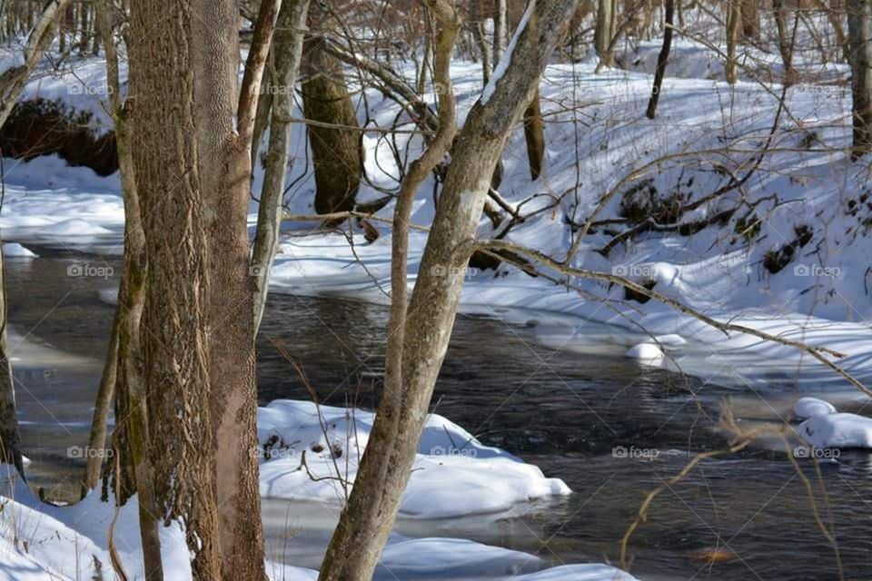 River Bank with Snow