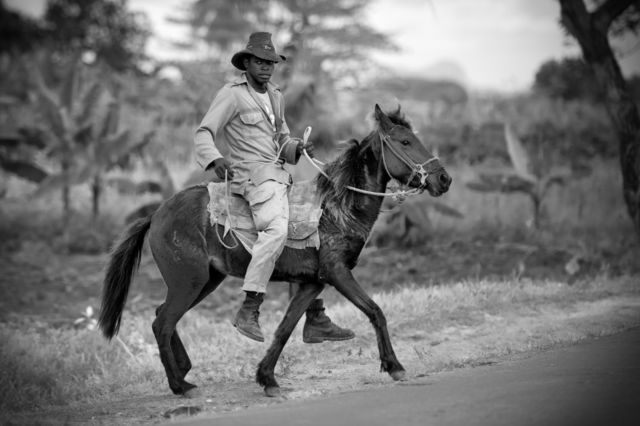 Cowboy