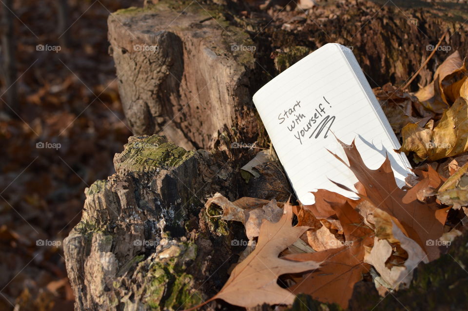 Notebook on a tree stump covered in autumn leaves with handwriting written words "Start with yourself" self care journal conceptual background for motivation and getting healthy in nature on forest trail 