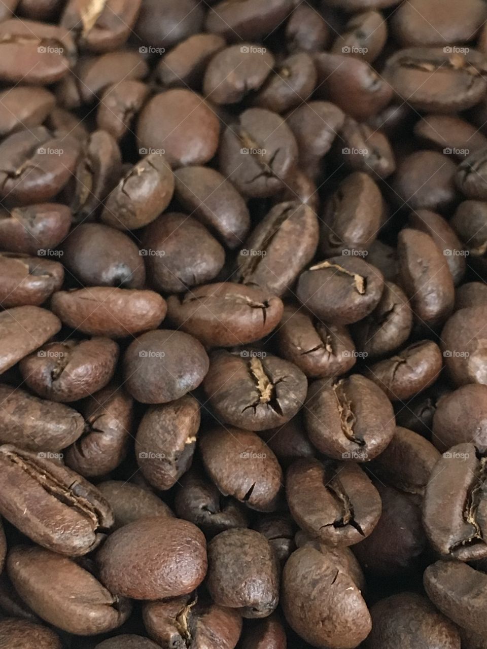 Fresh-roasted coffee