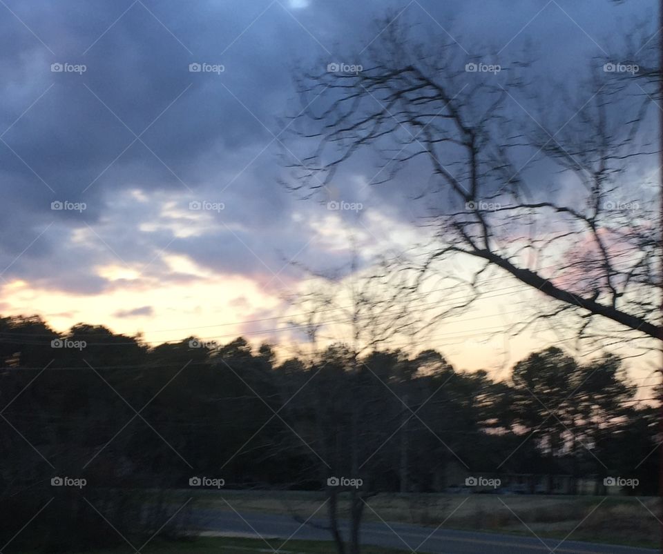 Blue and gray sky and trees.
