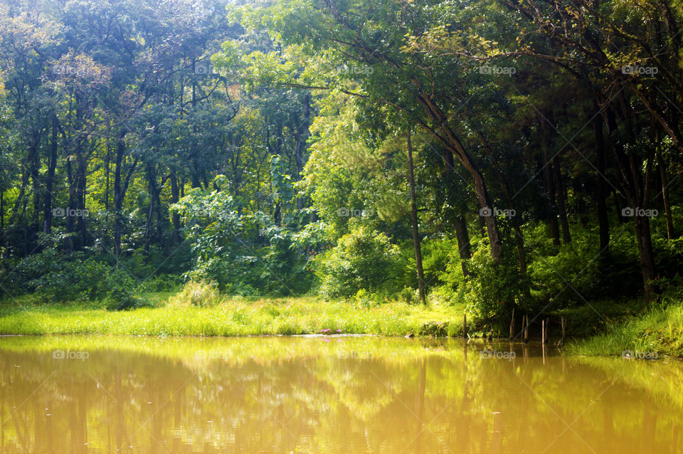 shining lake