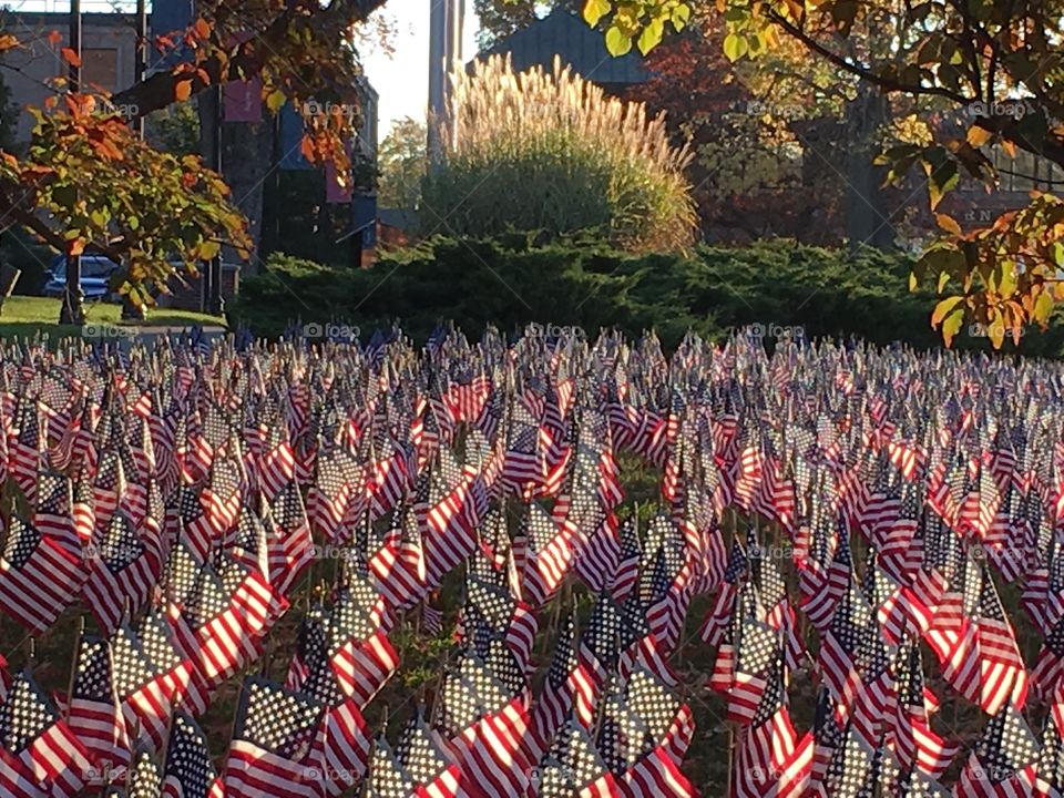 Field of flags of the fallen since 9/11
