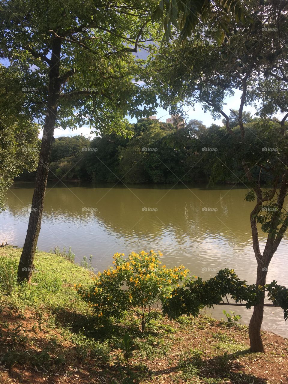 Custa muito manter limpa uma área verde como essa?
A necessidade de parques e sua manutenção correta são fundamentais para o bem-estar da sociedade.
Aqui, um exemplo de local pra relaxar com tranquilidade (Parque Botânico Eloy Chaves)