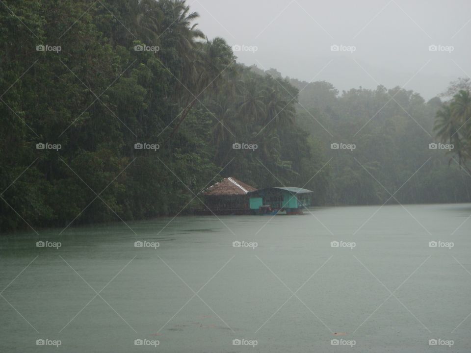 Tree, Water, Landscape, Storm, Vehicle