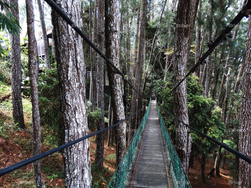 View of suspension bridge