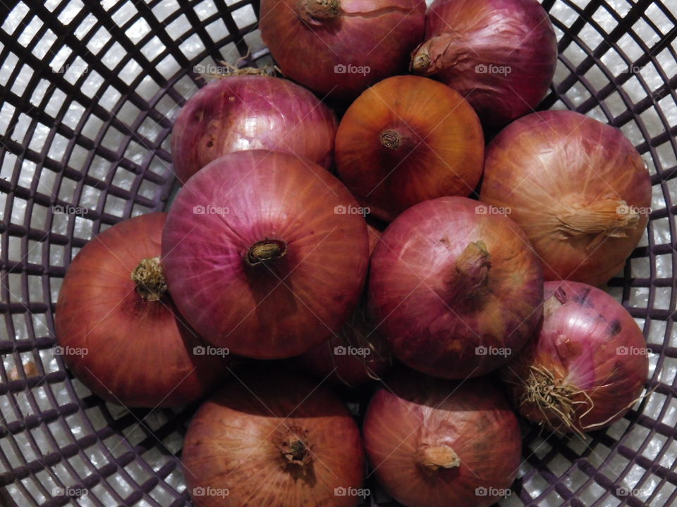 Bunch of Onions. Scientific name of the onion is Alium sepa.