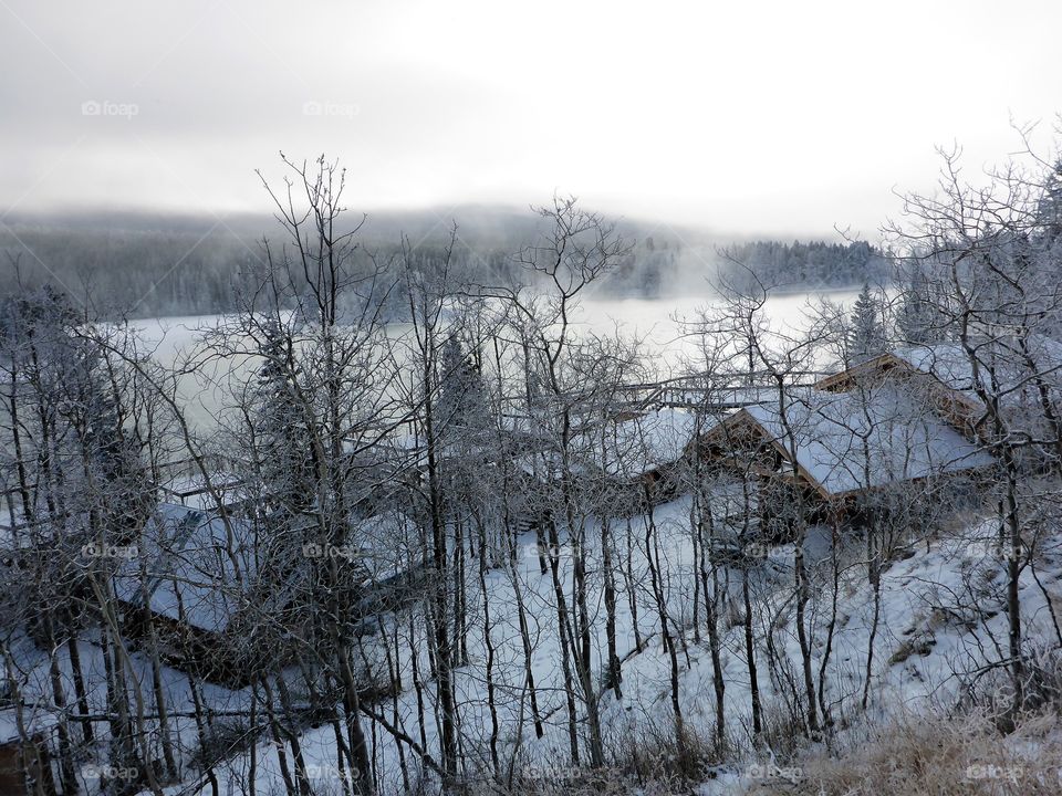 Winter at the camp