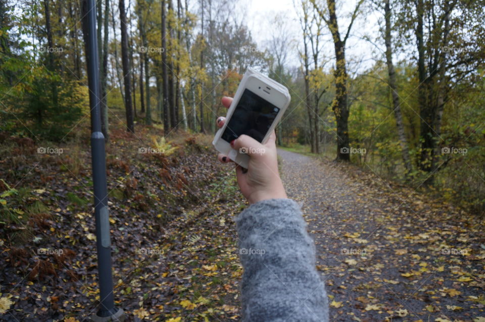 Just a phone Held out and used to take a photograph in a park during autumn with leaves on the ground.
