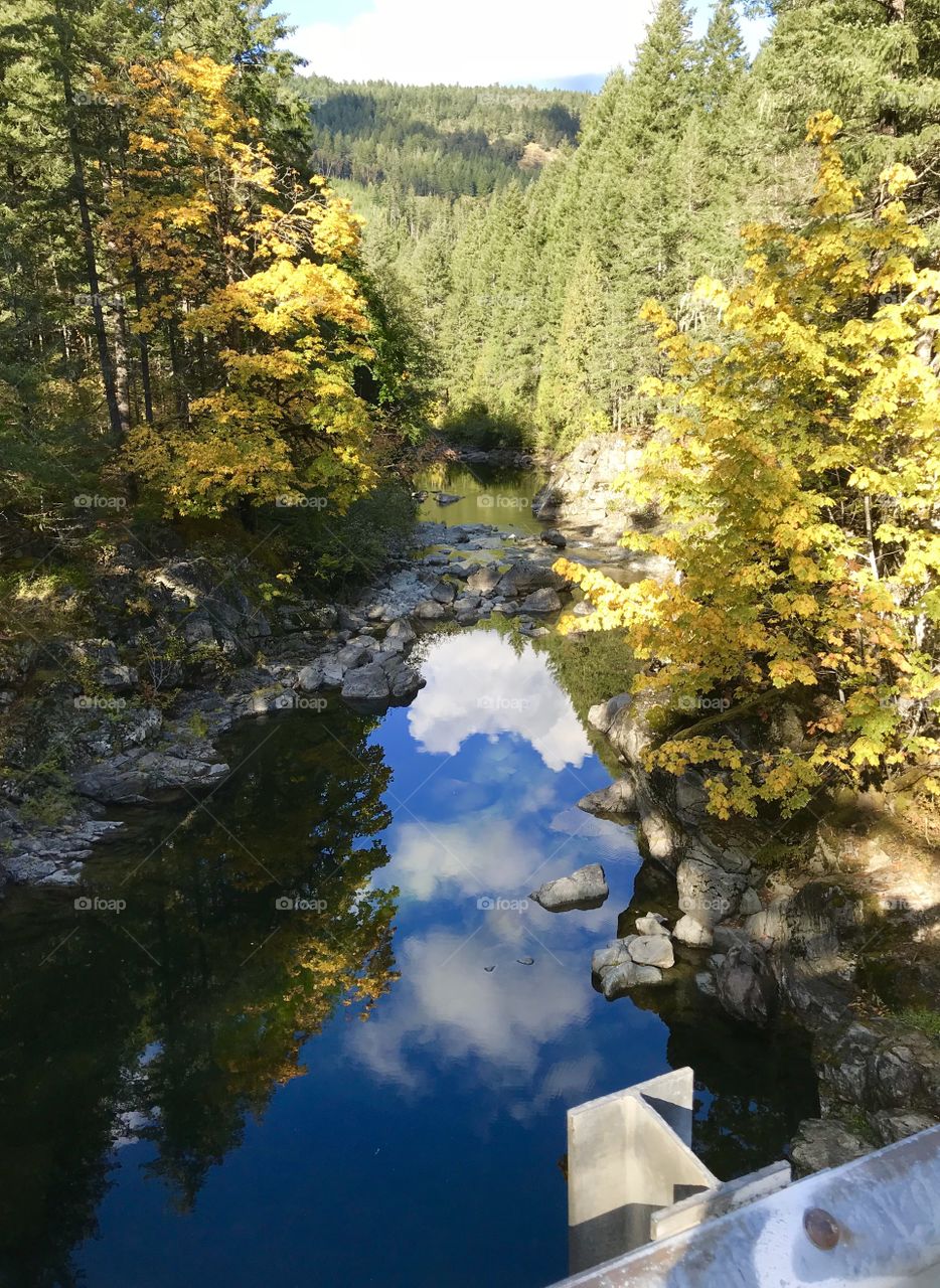 Scenic creek in park area of Vancouver island 