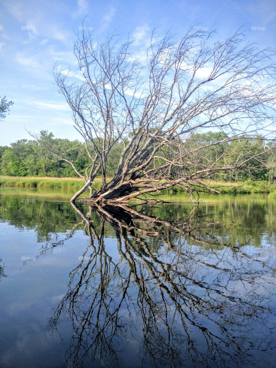 Mirror on the water