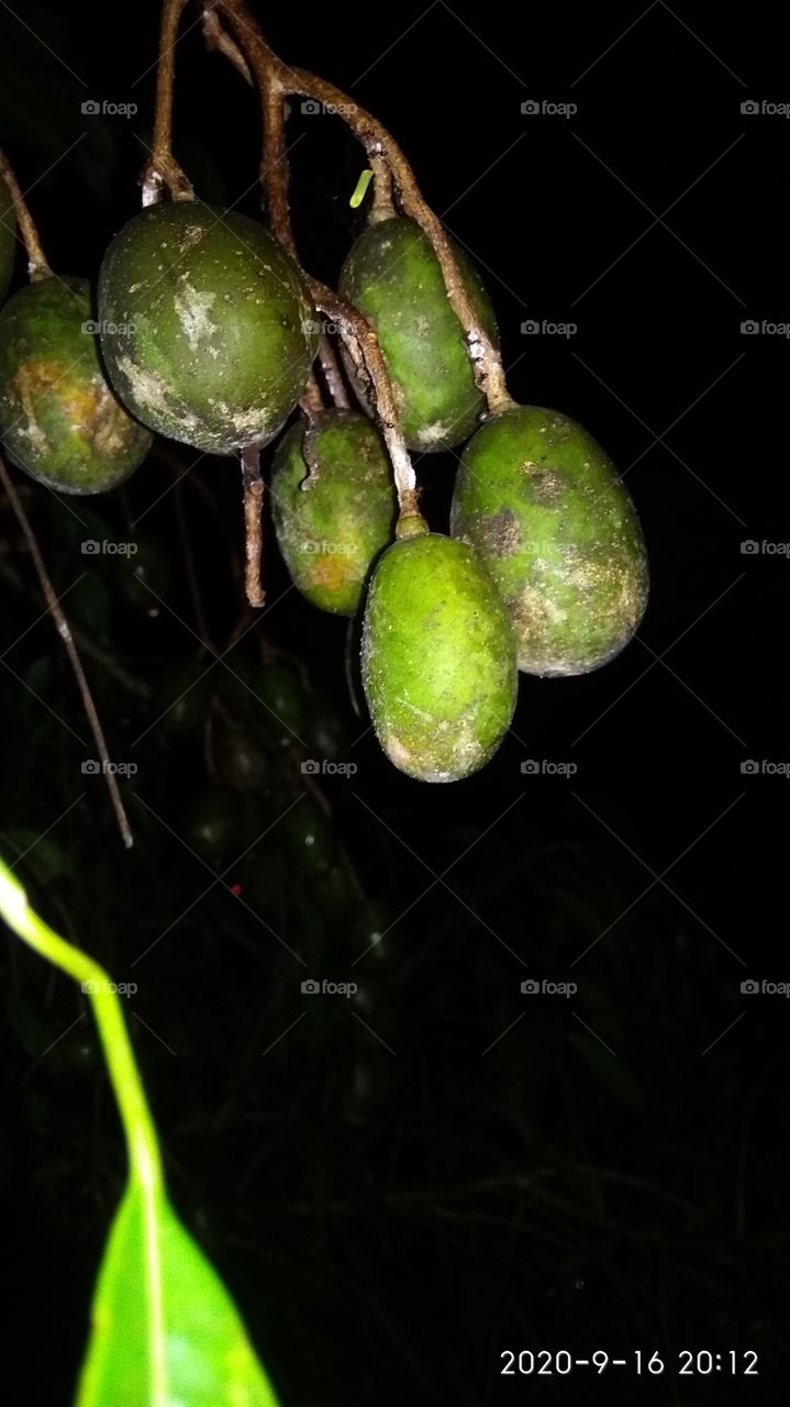 kedondong fruit that looks from a distance