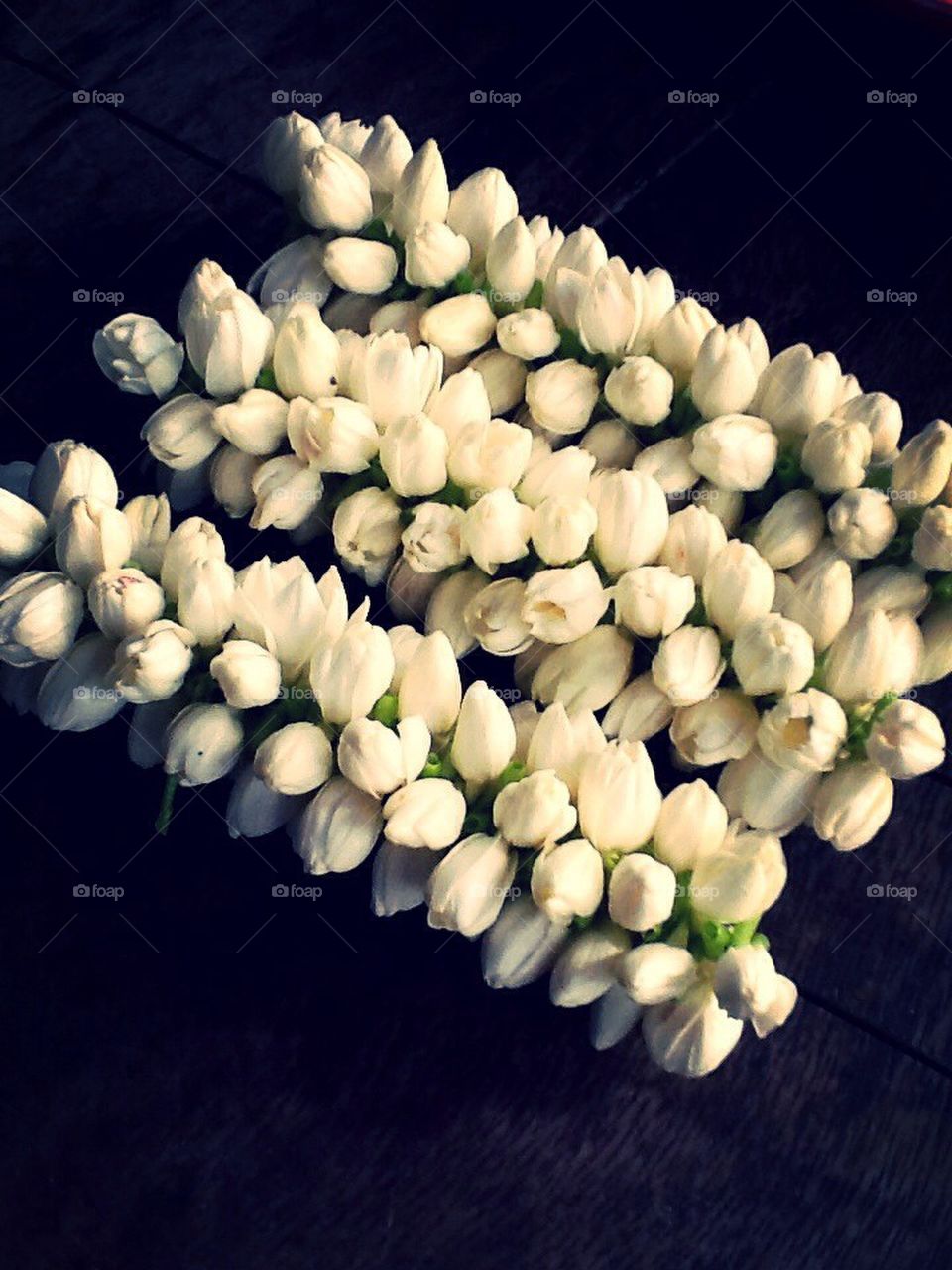 Jasmine in bunch