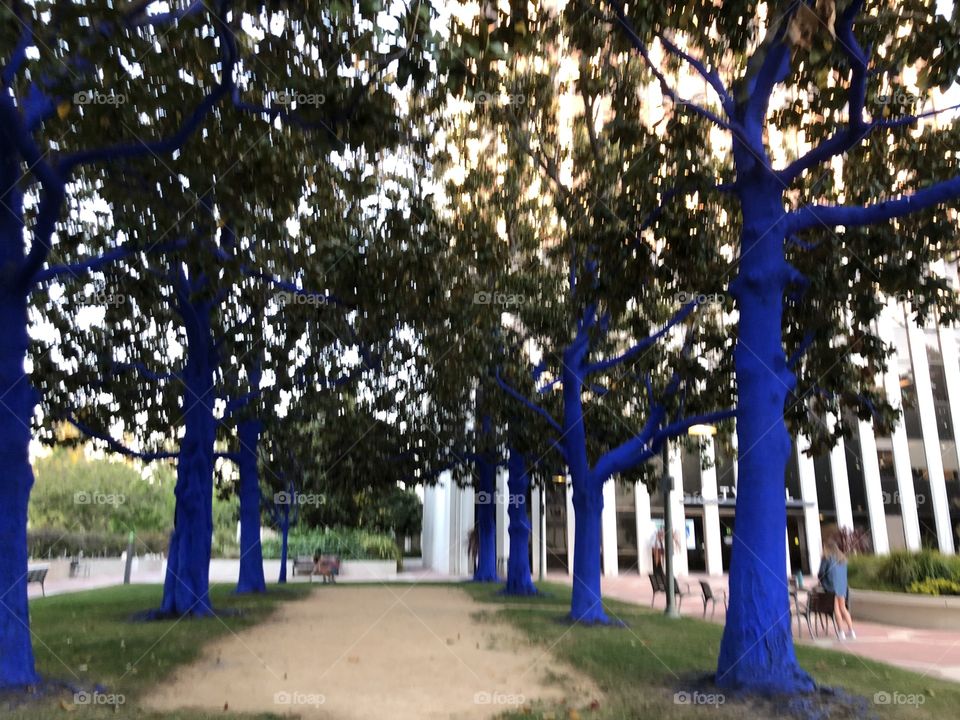 Decorative blue trees