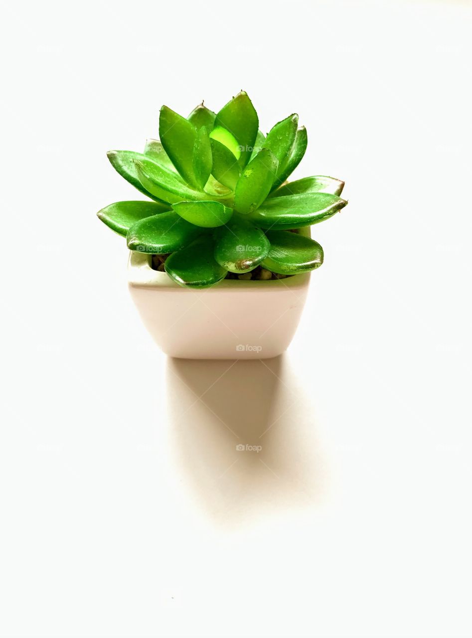 Artificial Plant Mini Vase