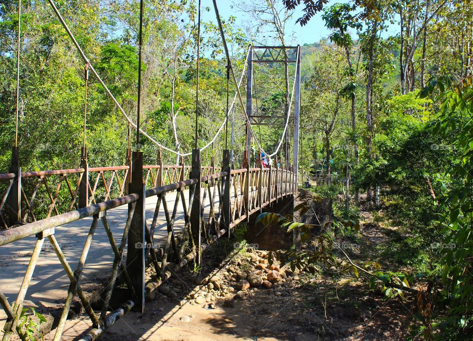 Hanging bridge in the rainforest of Costa Rica.  Dominance geometric shapes: rectangle,  triangle,  and semicircular