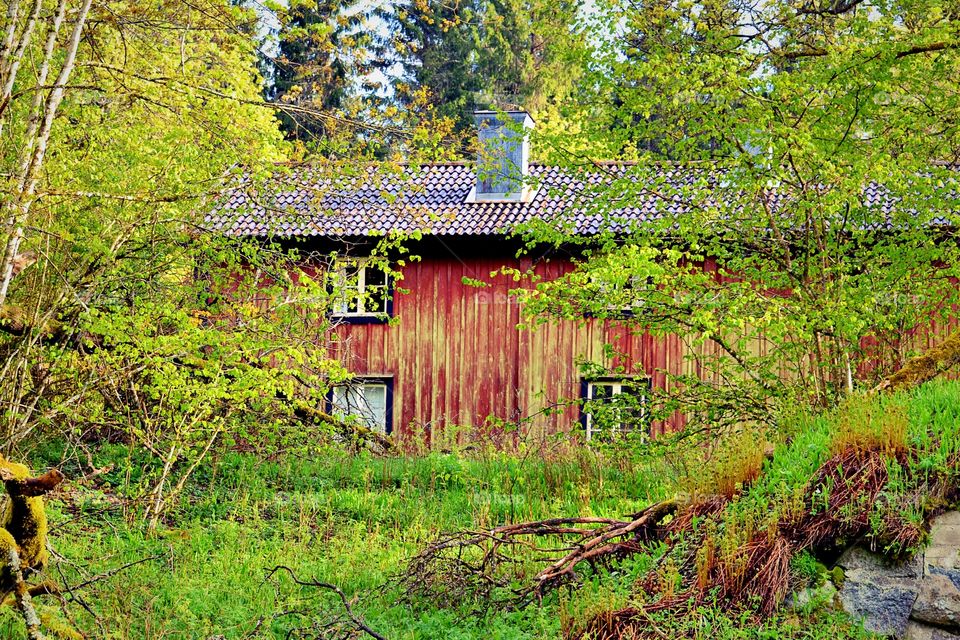 Old abandon house