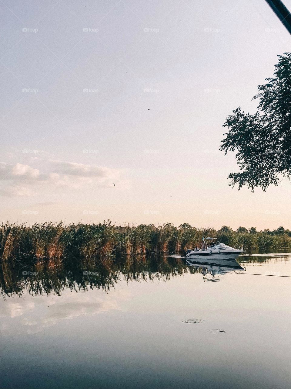 Amazing lake view