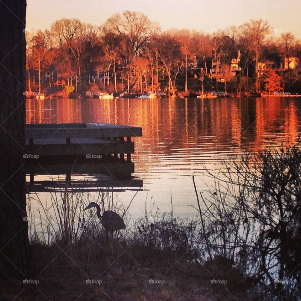 Fall foliage on the lake