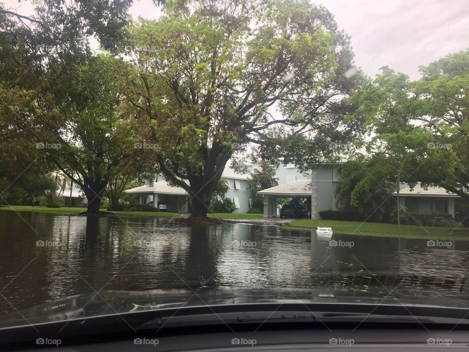 Flooded Miami Street