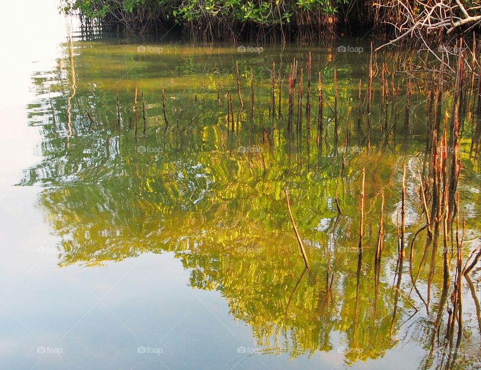 Lake and yellow trees reflection in calm water