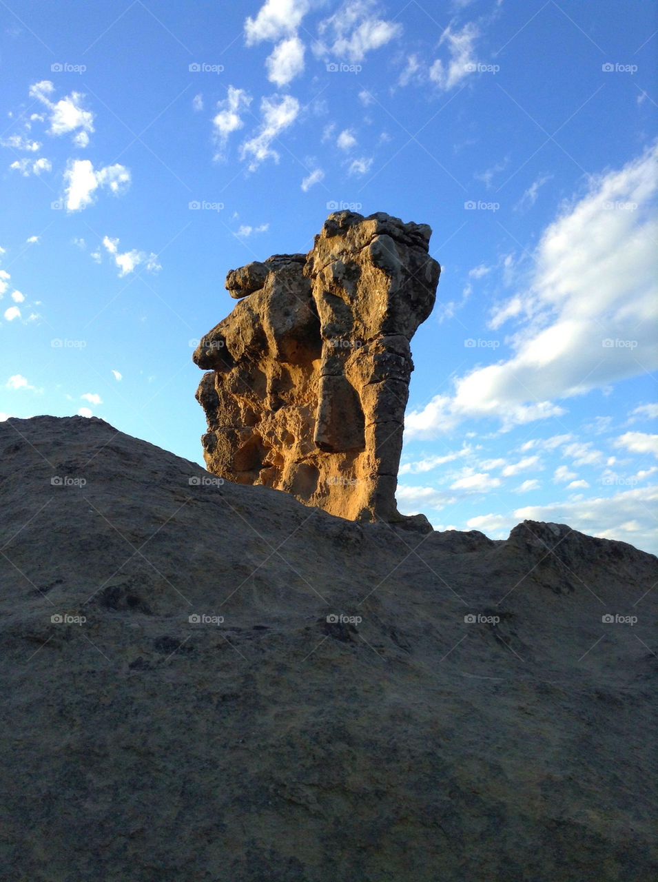 a rock depicting an elephant