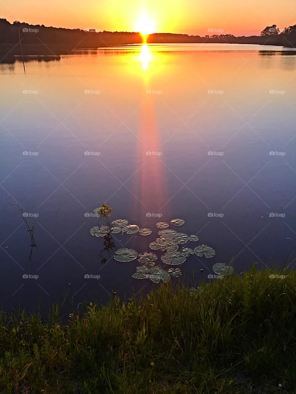 Lake Lust