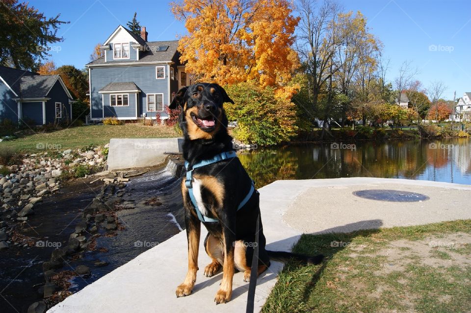 Jake loves fall!