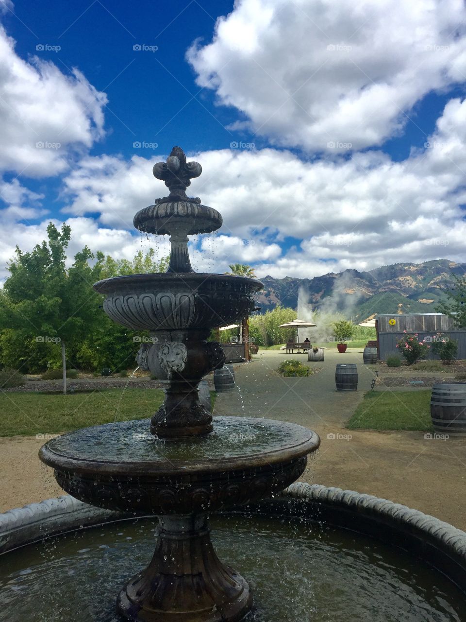 Old Faithful, Napa County, St Helena, Geyser, CA, California, Water Fountain, Water Feature, Blue Sky, California, Old Faithful Geyser of California, Hot Steaming Water, Beauty, Mother Nature Wonders