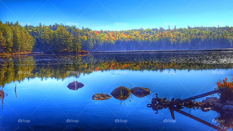 Blue sky and forest reflecting on lake