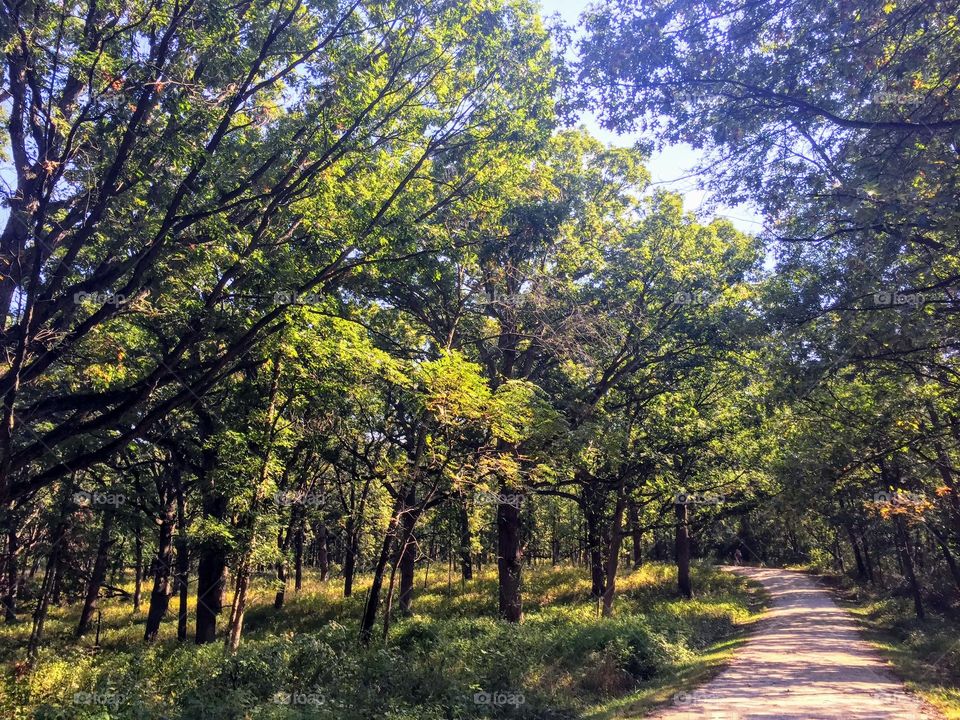 Hike outside of Chicago 