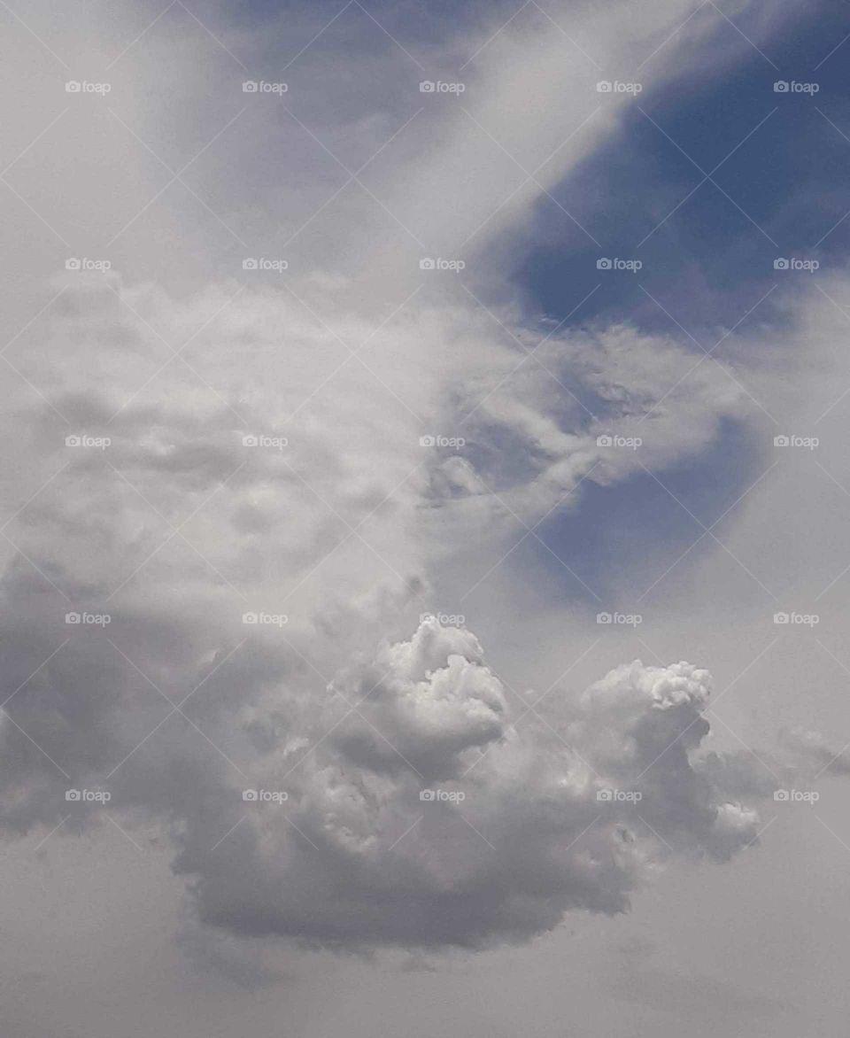 Animal shapes in the clouds