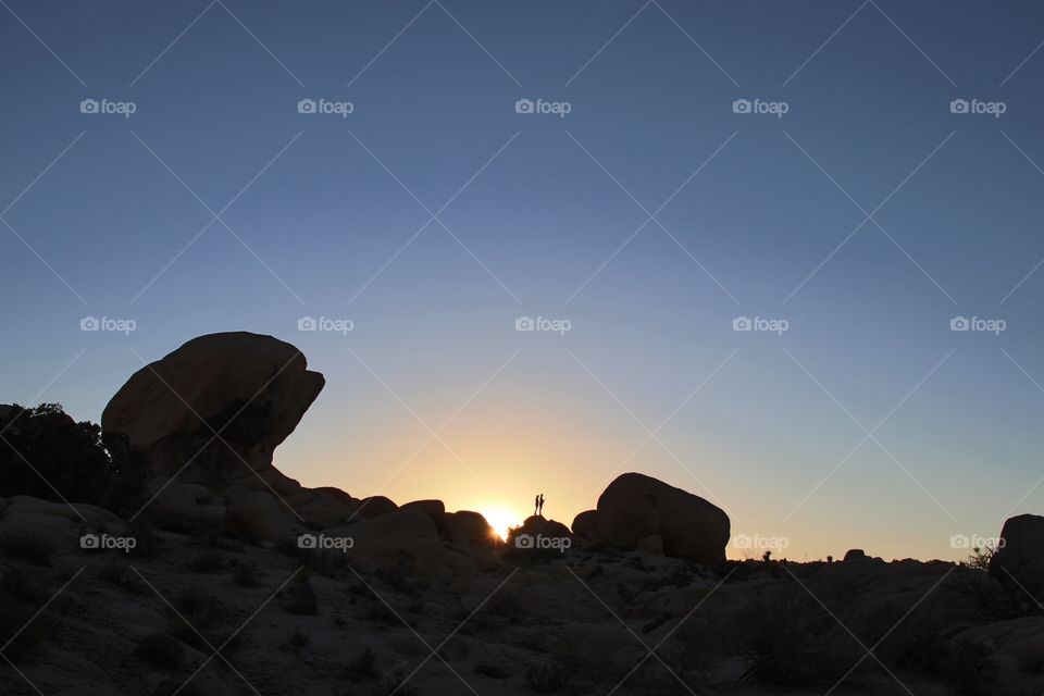 Desert Sunset Silhouette