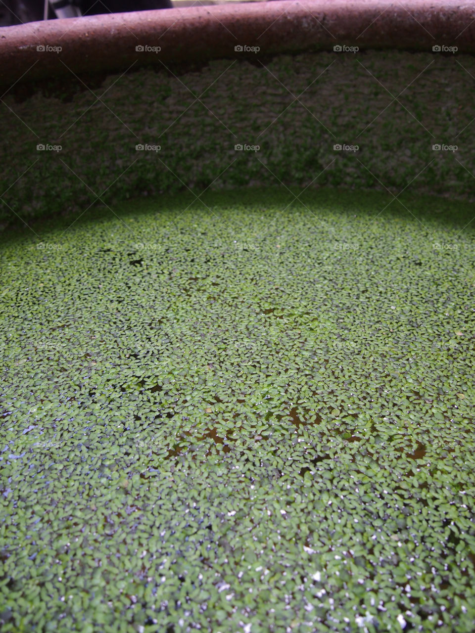 green italy china water by nkokimura