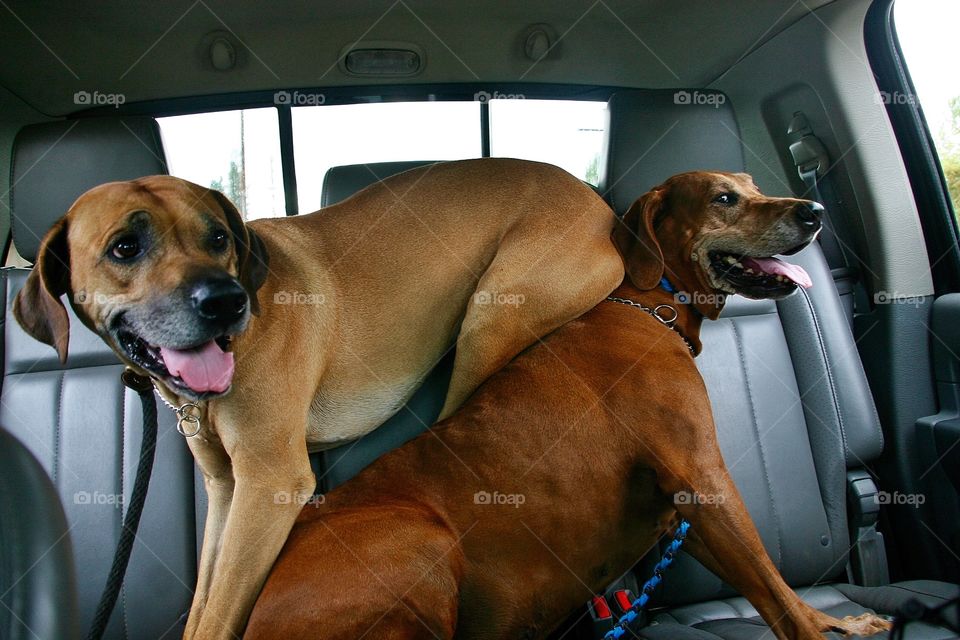 The ultimate in comfort