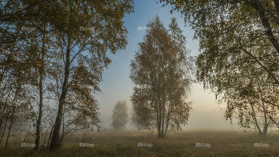 Leszno, Poland