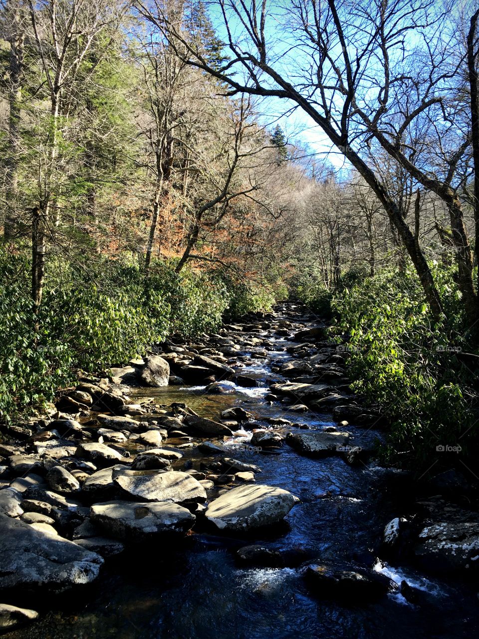Scenic view stream and rocks