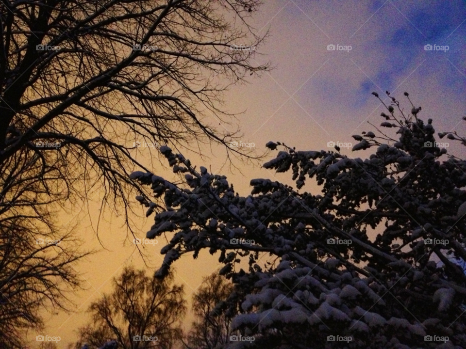 snow winter sky heaven by cabday