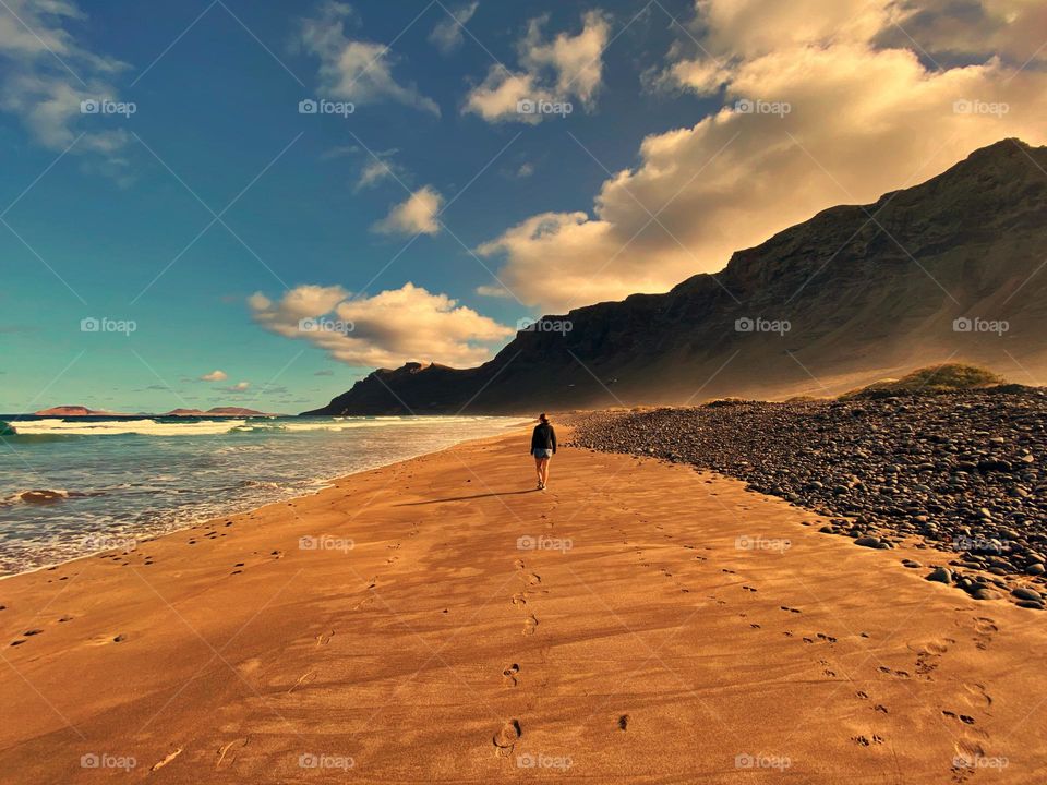 Take a walk on the wild side