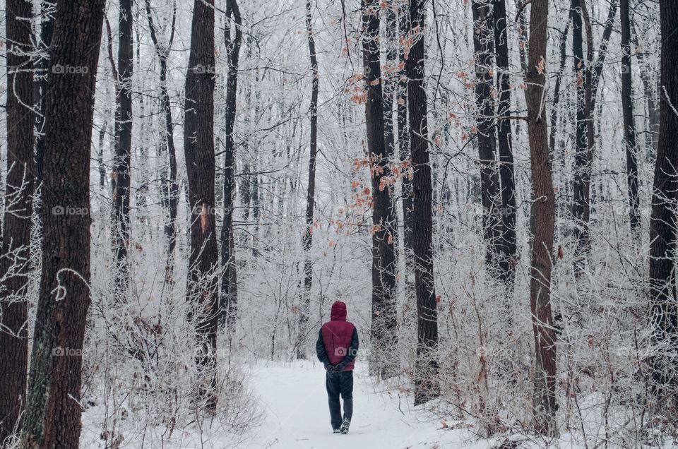 Walking down the snowy trails