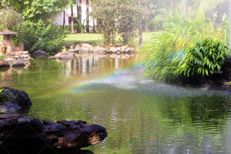 park, rainbow, water