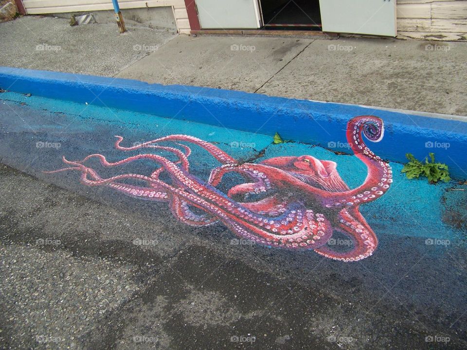 urban octopus. friday harbor
