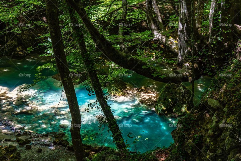 blue river in the forest
