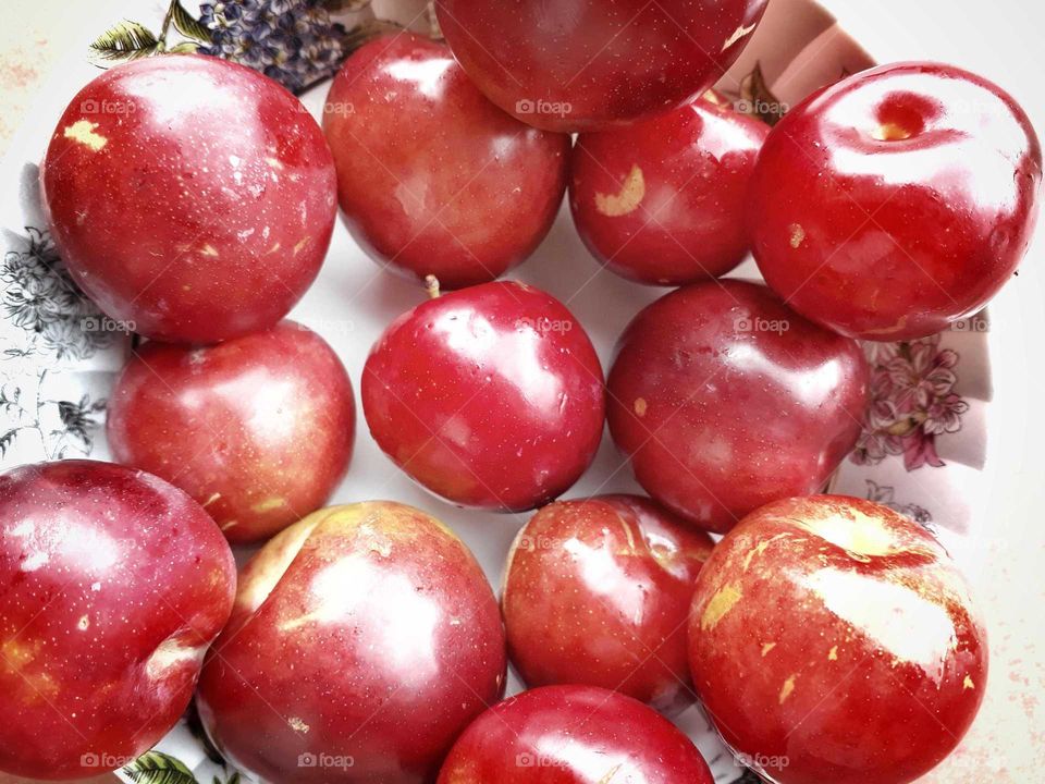 Freshly picked plums