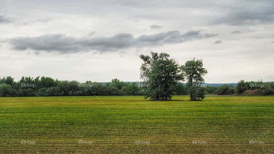 Tren de Arganda,... que pita más que anda