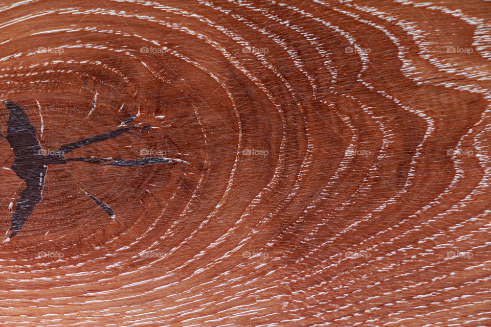 View of wooden texture