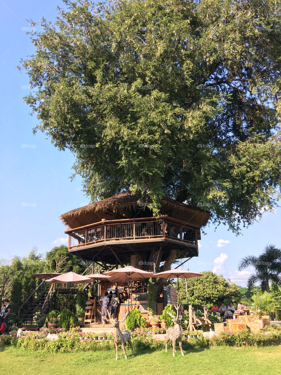 Tree House