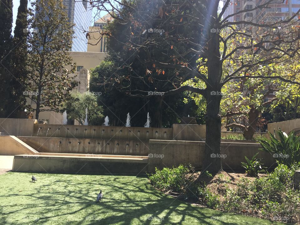 Tree, No Person, Park, Building, Architecture