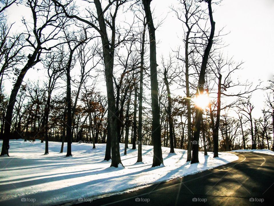 Winter Drive Through The Park