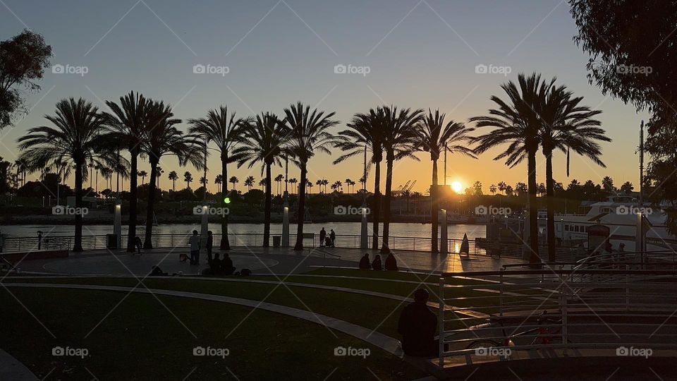 Beautiful sunset overlooking the port in Long Beach. 